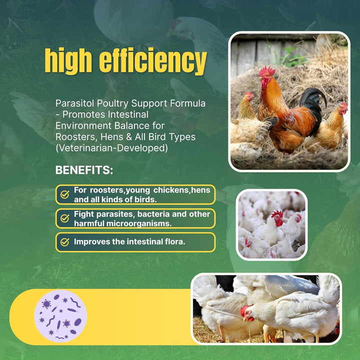 Natural Chicken Chili Mix Dewomax Powder - 1LB - Promotes Balanced Digestive Wellness - Dandelion, Black Pepper, Garlic Powder