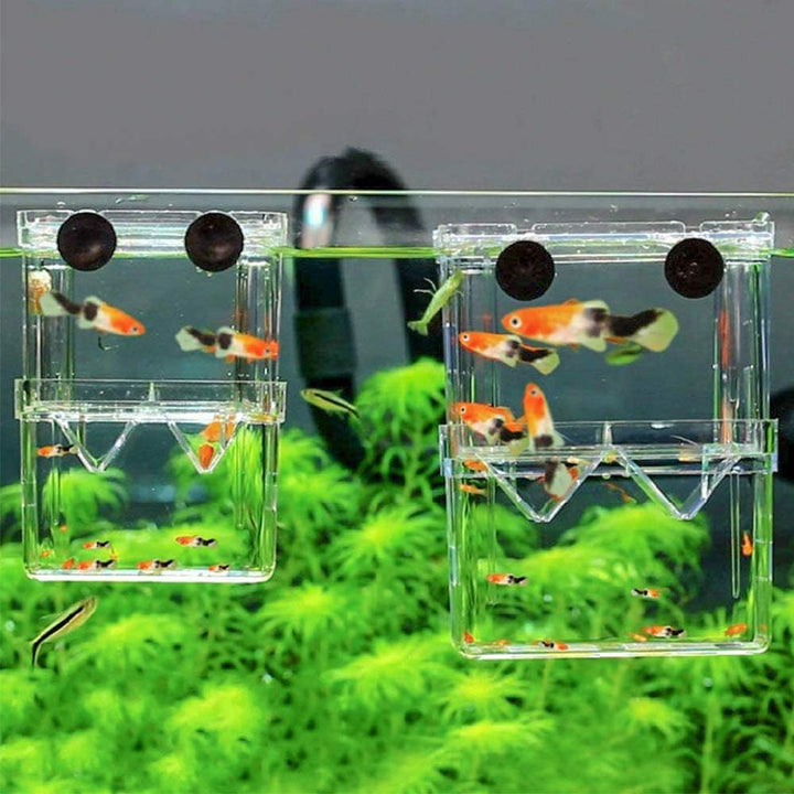 Aquarium Fish Breeder Box Plastic Fish Isolation Breeding Box Hatching Incubator Box for Baby Fishes Shrimp Clownfish Guppy