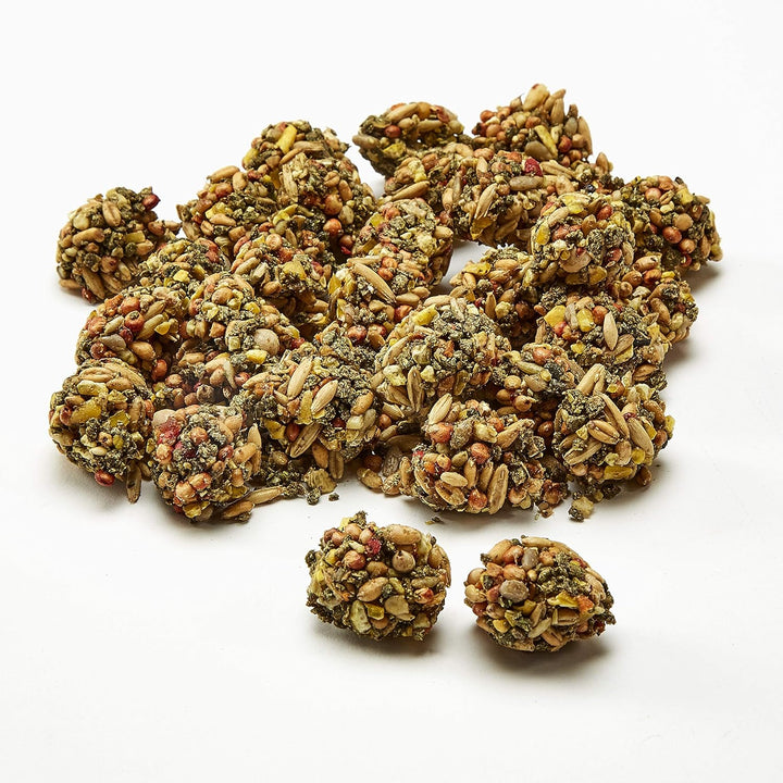 Healthy Bits Treat Rabbit and Guinea Pig 4.5 Oz