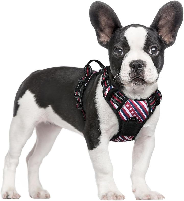 Dog Harness No Pull with 2 Leash Clips, Adjustable Soft Padded, Reflective Oxford No Choke Pet Vest with Easy Control Handle for Large Dogs, Black, L