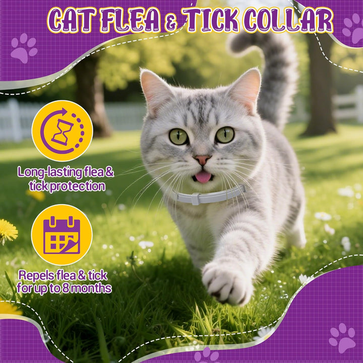 Flea & Tick Collar for Cats 4 Pack - 8 Months Long-Lasting Protection and Prevention, Cat Flea and Tick Collar, Adjustable