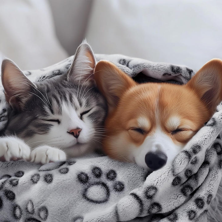 Premium Soft Dog Blanket for Small Medium Large Dogs Washable 300GSM Fluffy Warm Fleece Puppy Cat Paw Print Pet Flannel Grey Paw M(30"X20")