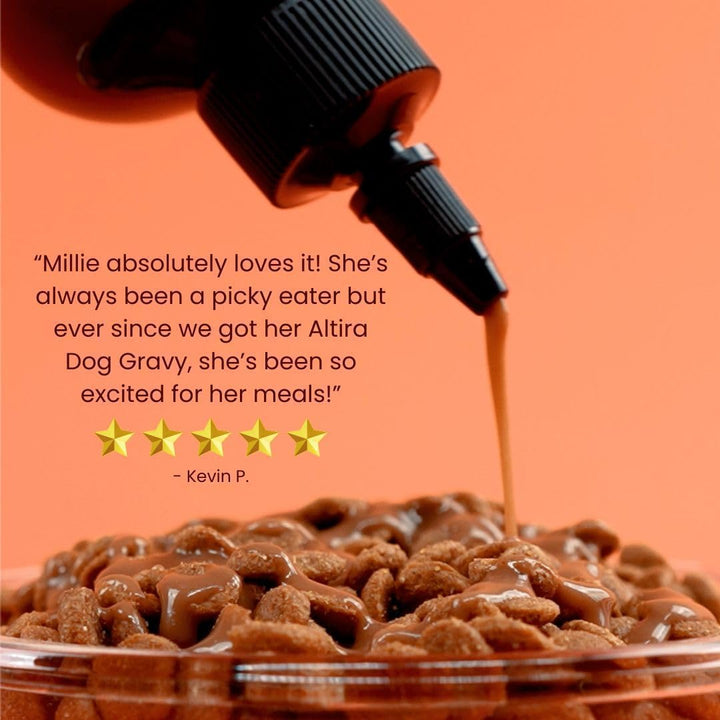 Everyday Dog Gravy Bacon – Premium Wet Dog Food Gravy Toppers for Dry Food – Tasty & Nutritious Dogs Gravy with Essential Vitamins and Supplements – Hip and Joint Supplement