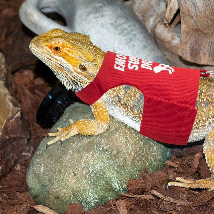 Bearded Dragon Harness and Leash Set - Escape Proof Adjustable Lizard Reptiles Harness with 5 Ft Short Leash for Walking Outdoor