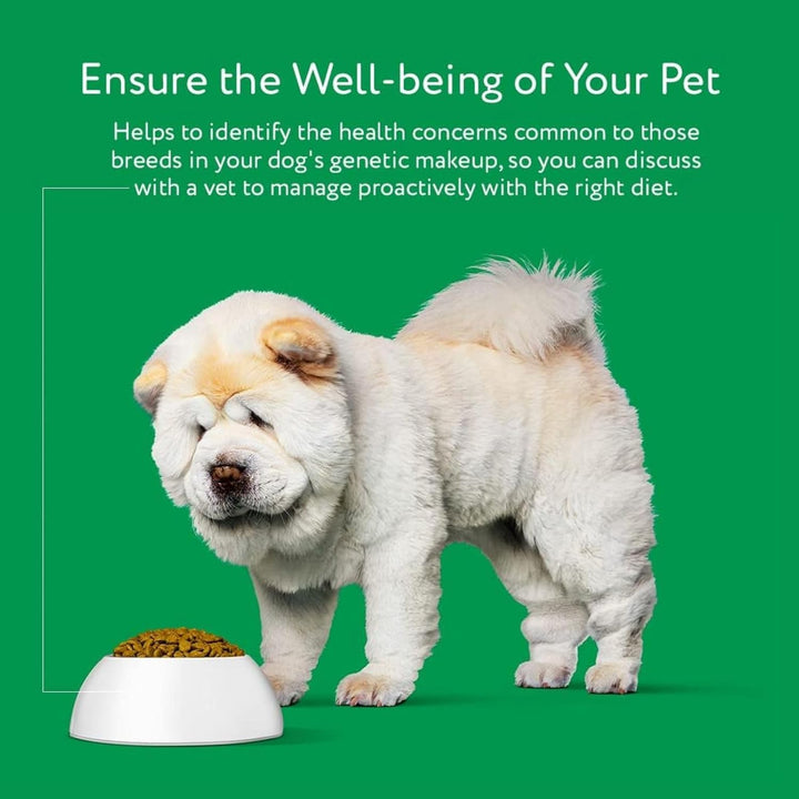 – Trusted & Affordable Breed Identification Test | 350+ Breeds Identified W/ 99%+ Accuracy | Complete Breed Analysis, Personality and Behavior Insights | Easy Cheek Swab, Results in 2 Weeks