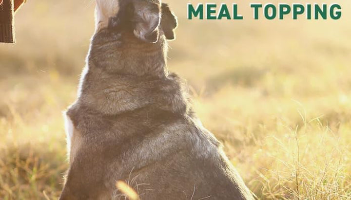 Freeze Dried Beef Liver Dog & Cat Treats | Healthy Pet Training Treats or Food Topper | All Natural, Single Ingredient, High Protein | Premium Bulk Large Size Pack (27 OZ)