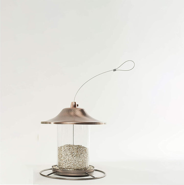 57075 Safflower Seed Wild Bird Food, 5 Pound (Pack of 1)