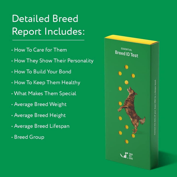 – Trusted & Affordable Breed Identification Test | 350+ Breeds Identified W/ 99%+ Accuracy | Complete Breed Analysis, Personality and Behavior Insights | Easy Cheek Swab, Results in 2 Weeks