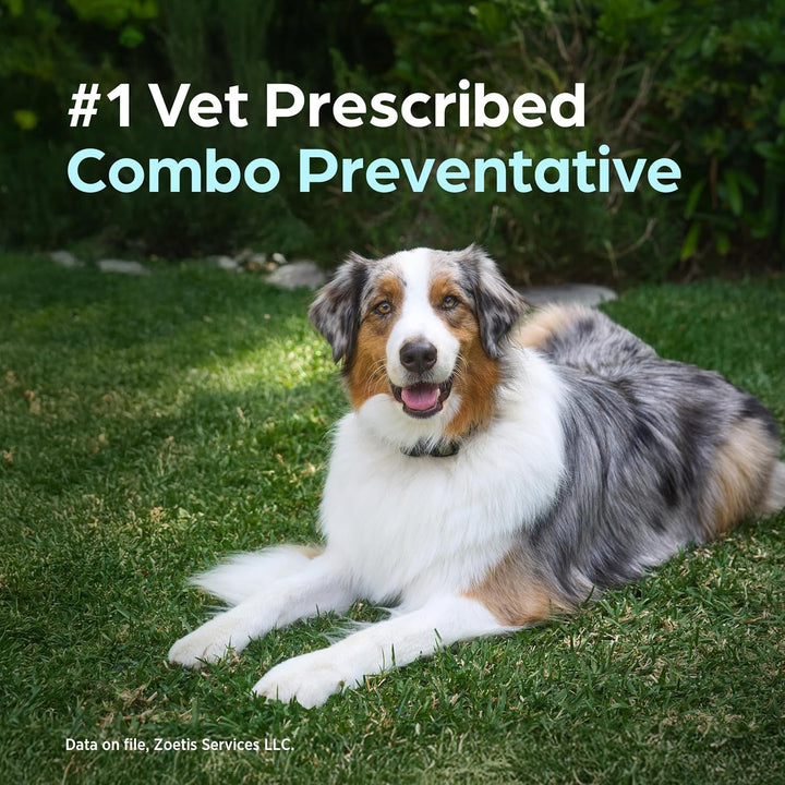 (Sarolaner, Moxidectin, and Pyrantel Chewable Tablets) Chewables for Dogs, 48 Mg/Tab, 44.1-88 Lbs, (Green), 6 Tablets