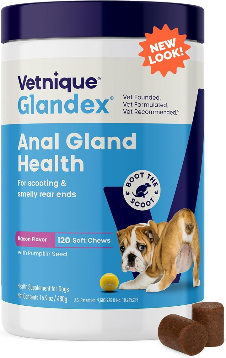 Glandex Anal Gland Soft Chew Treats with Pumpkin for Dogs Digestive Enzymes, Probiotics Fiber Supplement for Dogs Boot the Scoot (Peanut Butter Chews, 60 Count)