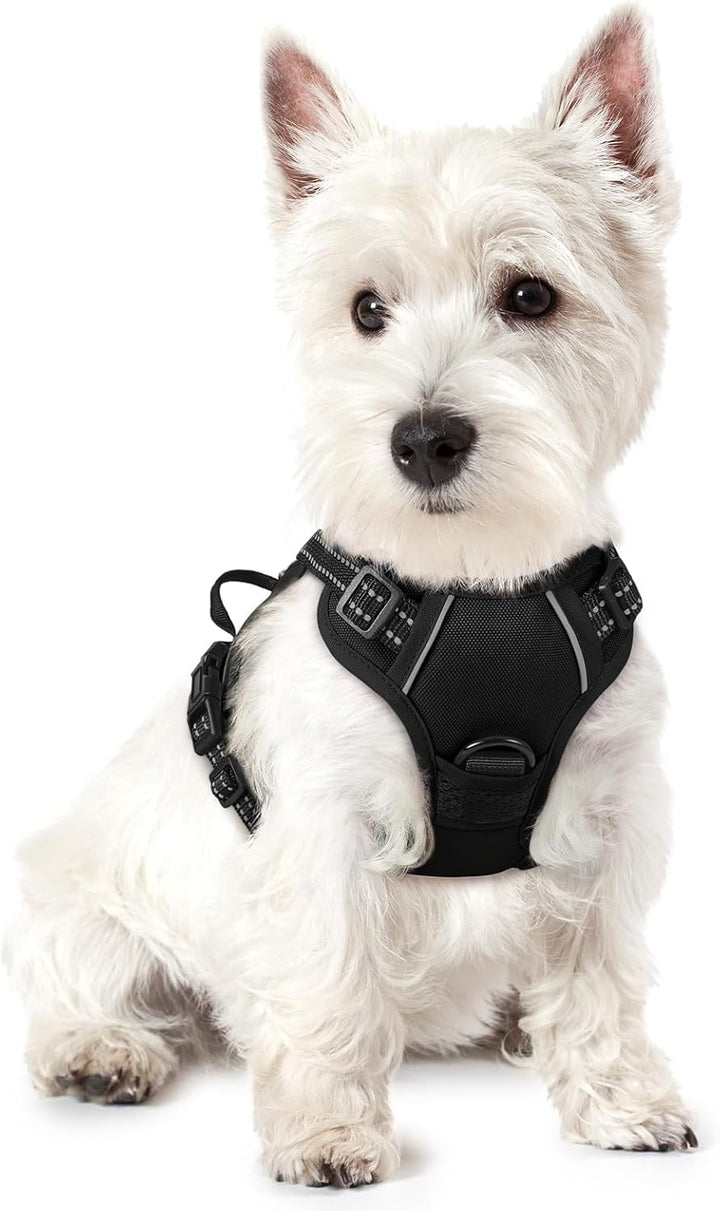 Dog Harness No Pull with 2 Leash Clips, Adjustable Soft Padded, Reflective Oxford No Choke Pet Vest with Easy Control Handle for Large Dogs, Black, L