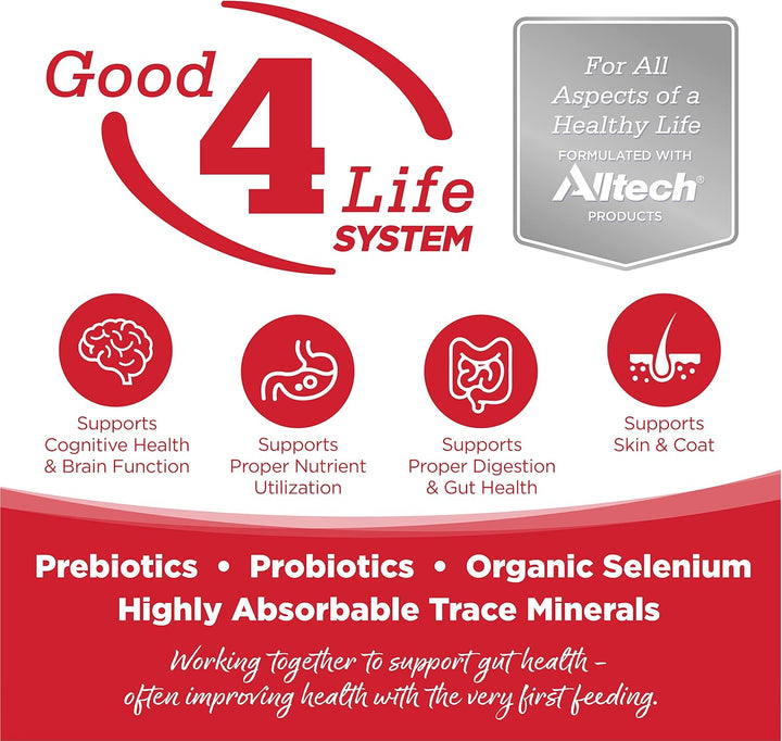 Dry Dog Food for Large Breeds, Beef and Rice, 26LB