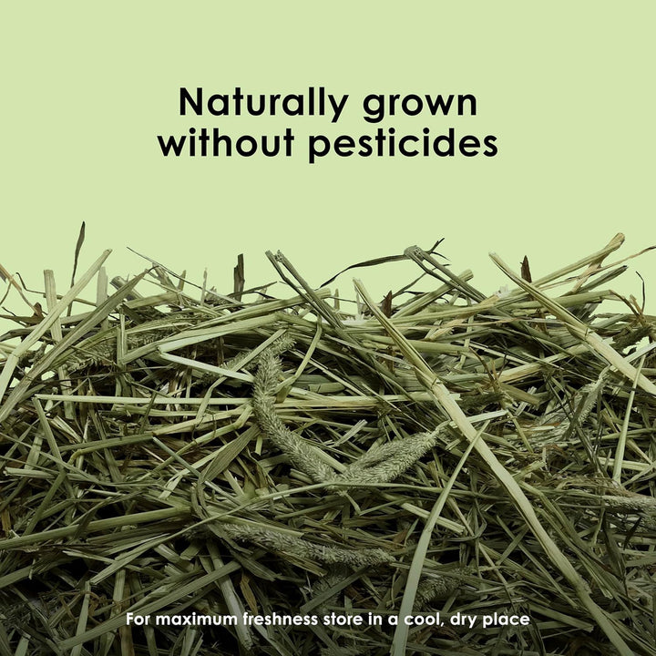 Timothy Hay, High Fiber, Grown Specifically for Small Animals, Rabbits, Guinea Pigs, Chinchillas, 2 Pounds