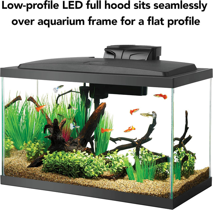 Aquarium Fish Tank Starter Kit with LED Lighting 10 Gallon Fish Tank