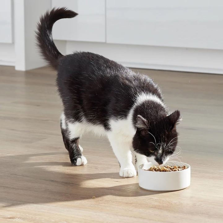 , Rawmix Dry Cat Food, Protein-Packed Kibble Coated in Bone Broth with Freeze Dried Raw Chunks, for Indoor & Outdoor Cats, Chicken & Turkey Grain-Free Recipe, 8Lb Bag