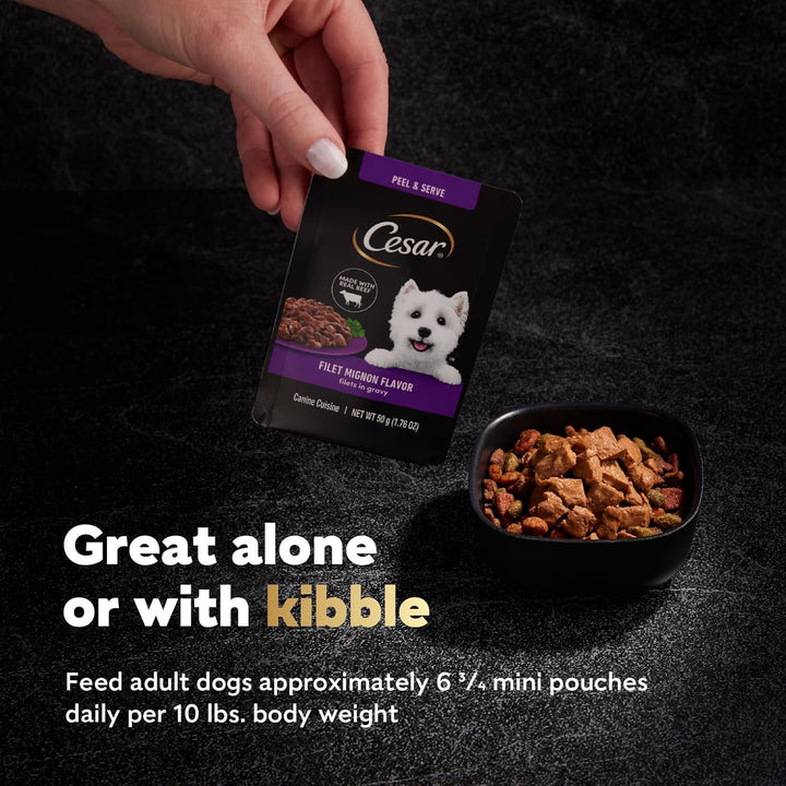 Filets in Gravy Wet Dog Food Filet Mignon Flavor, 1.76 Oz. Mini-Pouch (20 Count, Pack of 1)