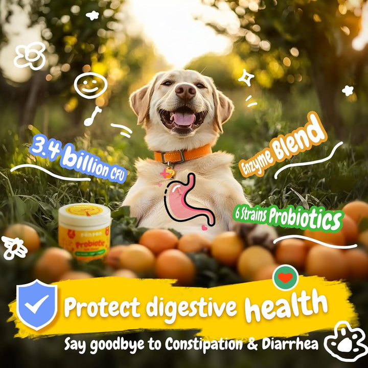 Probiotics for Dogs, Dogs Probiotics for Digestive Health, Multi-Probiotic and Enzyme Blend Promote Gut Health & Immune Support, Eases Sensitive Stomachs (Beef Chews, 50Ct)