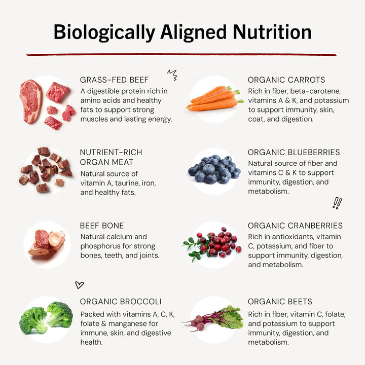 Freeze-Dried Raw Dinner Patties - Beef Recipe - High Protein Grain-Free Puppy & Dog Food - Perfect for Picky Eaters - 25 Oz