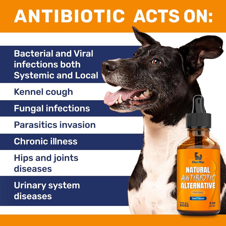 Natural Antibiotics for Dogs for Allergies, Infections, Coughs, Digestive Moments – Dog Antibiotics with Beef Flavor May Support Urination and Breathing – Organic Composition with Cranberry – 2 Oz