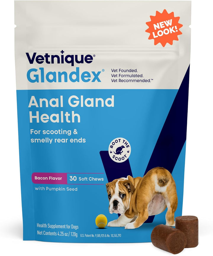 Glandex Anal Gland Soft Chew Treats with Pumpkin for Dogs Digestive Enzymes, Probiotics Fiber Supplement for Dogs Boot the Scoot (Peanut Butter Chews, 60 Count)