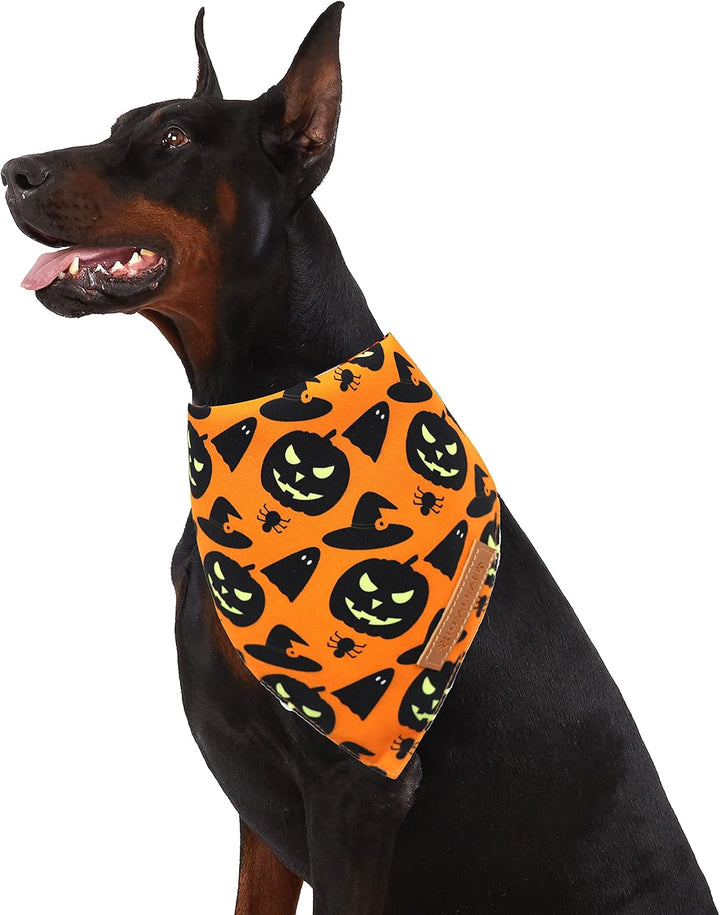 Halloween Dog Bandanas 2 Pack, Pumpkin and Spider Web Bibs, Triangle Reversible Fall Pet Scarf, Premium Durable Fabric, Adjustable Fit (Large)