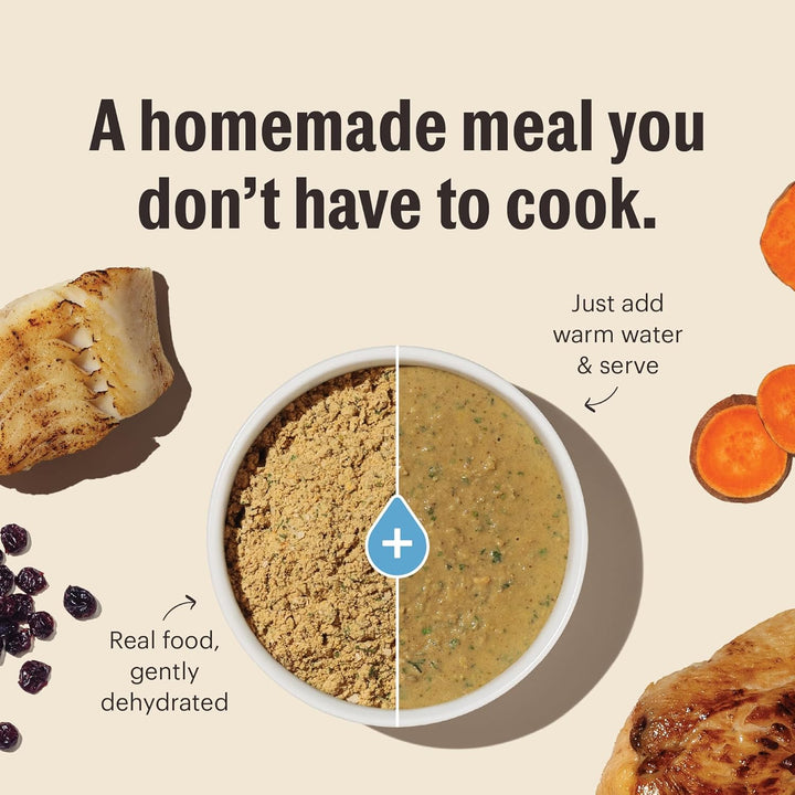 Dehydrated Grain Free Chicken Cat Food 4 Pound (Pack of 1)