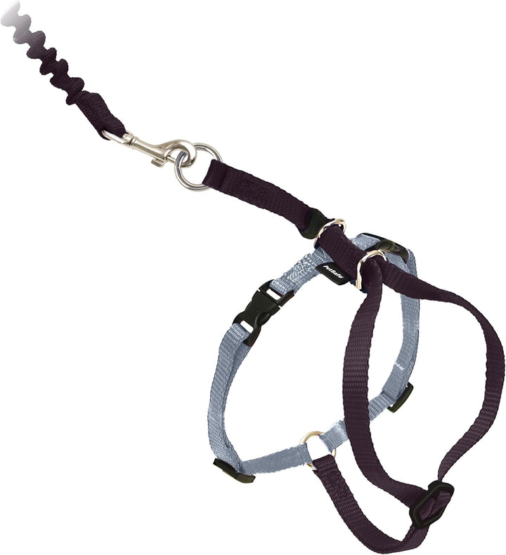 Come with Me Kitty Cat Harness & Bungee Leash - Comfortable No-Choke Harness with Lightweight Bungee Leash for Outdoor Fun - Escape Free Pulling Prevention - Medium - Lilac