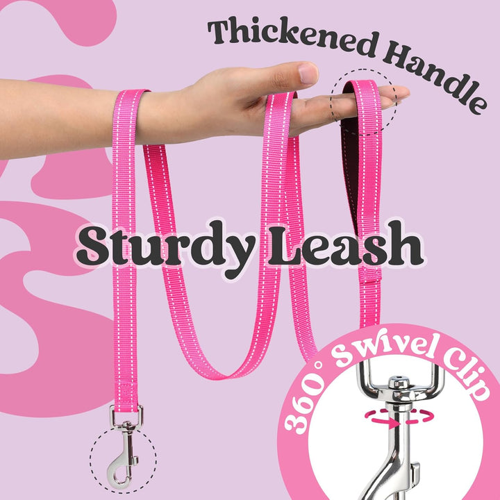 Dog Harness Small Sized and Leash Set, Step-In Breathable Pet Harness, Soft Walking Reflective Puppy Vest for Small Dogs, Black & Rose Red, S