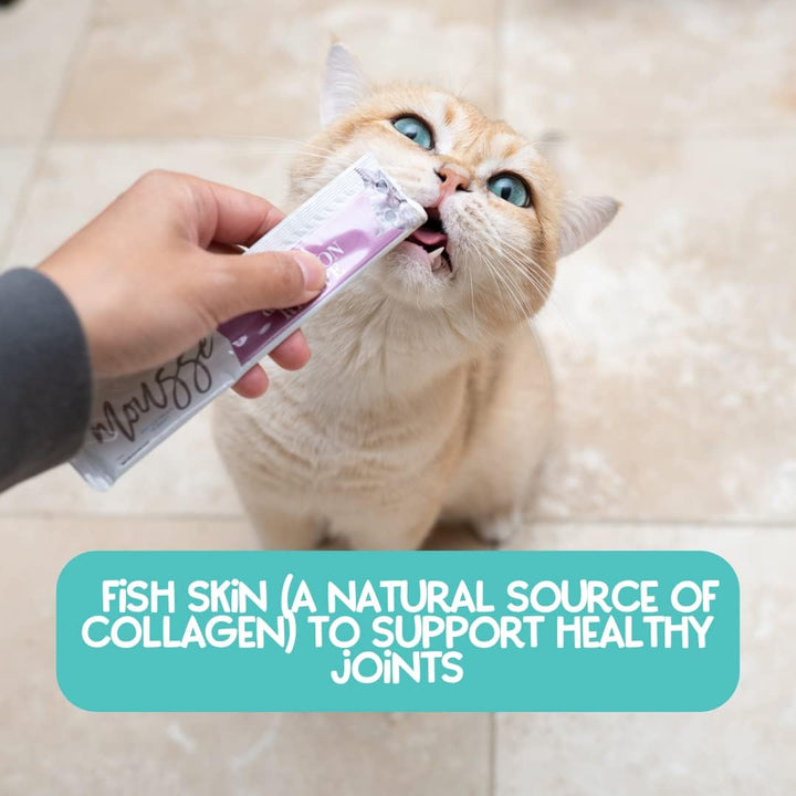 - Natural Lickable Cat Squeeze up Treat,Topper - Variety plus Pack Mousse - Wet Food Cat Puree - Grain Free, Non_Gmo Minerals, Vitamins - 24 Pack