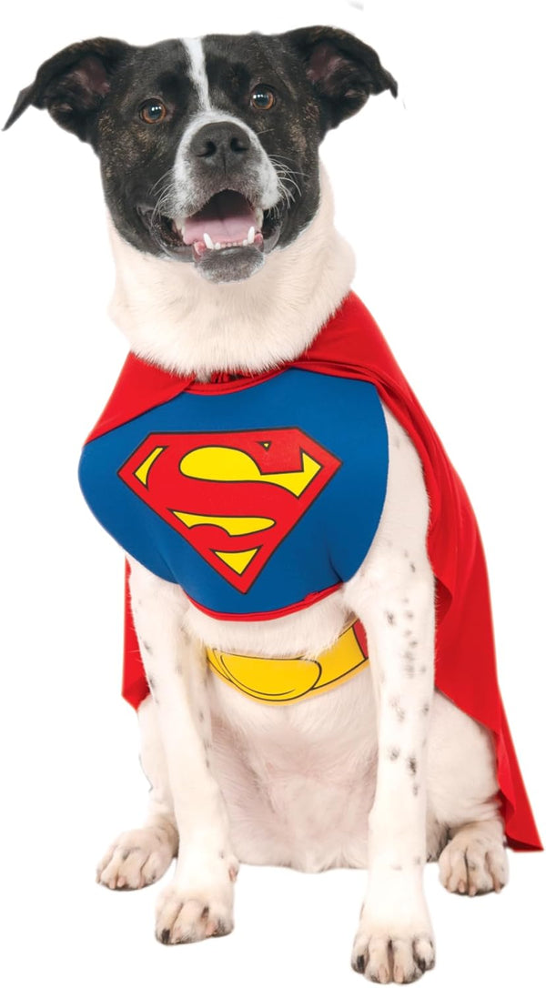 DC Comics Superheroes: Superman Pet Costume for for Dogs or Cats by , XL