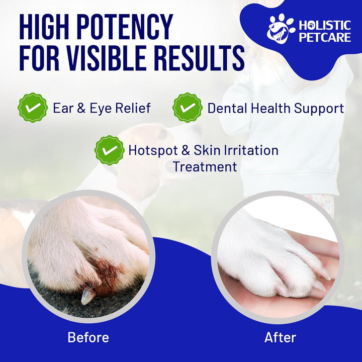 - Colloidal Silver Spray for Dogs, Cats, Horses & Birds - 20 PPM Effective Wound Care, Hot Spot Treatment, Skin Relief & Immune Support - All-Natural Pet Silver Spray (16 Oz)