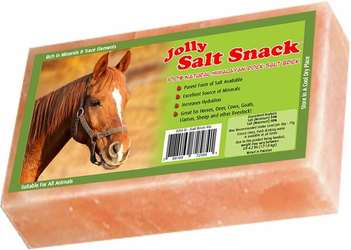 Himalayan Salt Block on Rope for Horses, 4.4 Pounds, SS44