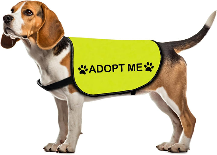 Rescue Dog Jacket Vest Adopt Me Pet Vest Foster Dog Slogan Vest (Adopt Me-Large)