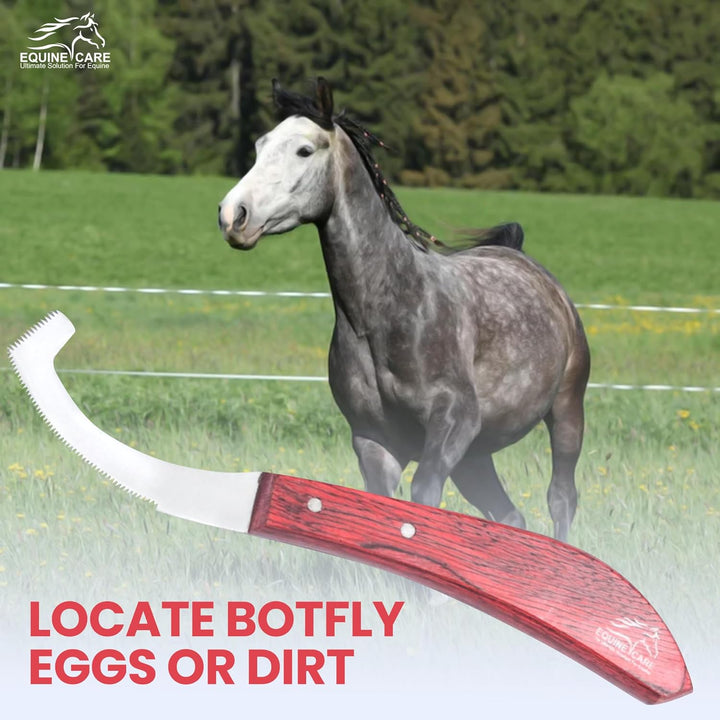Bot Egg Knife for Horses – Precision Grooming Tool for Bot Egg Removal – Stainless Steel Blade with Ergonomic Handle – Horse Grooming Scraper, Coat Care, and Bot Fly Egg Scraper Tool