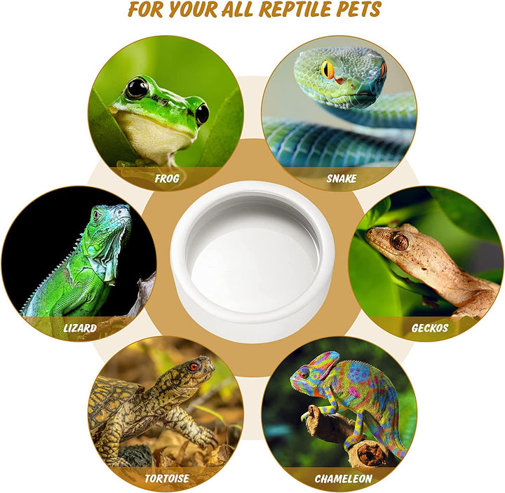 Reptile Food Dish Bowl, Worm Water Dish Small (2.75In) Lizard Gecko Ceramic Pet Bowl, Mealworms Bowls for Leopard Bearded Dragon Chameleon Hermit Crab Dubia Cricket Anti-Escape Superworm Feeder 2 Pack