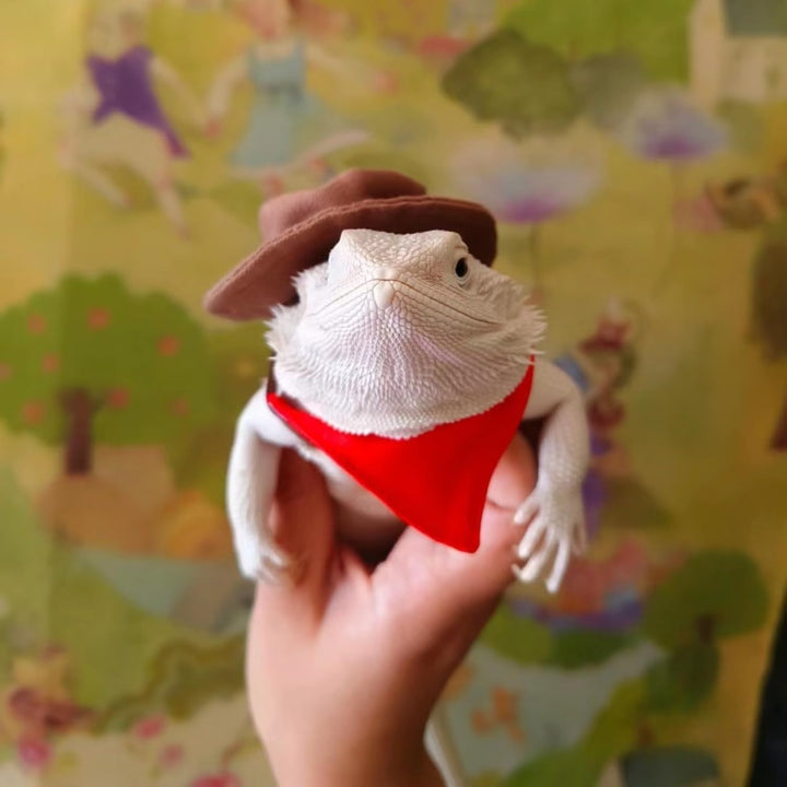 Bearded Dragon Cowboy Costume - Adjustable Lizard Cowboy Hat and Bandana Scarf Reptile Halloween Costume Photo Props for Gecko Chameleon Amphibians Ferret Hamster (Brown)