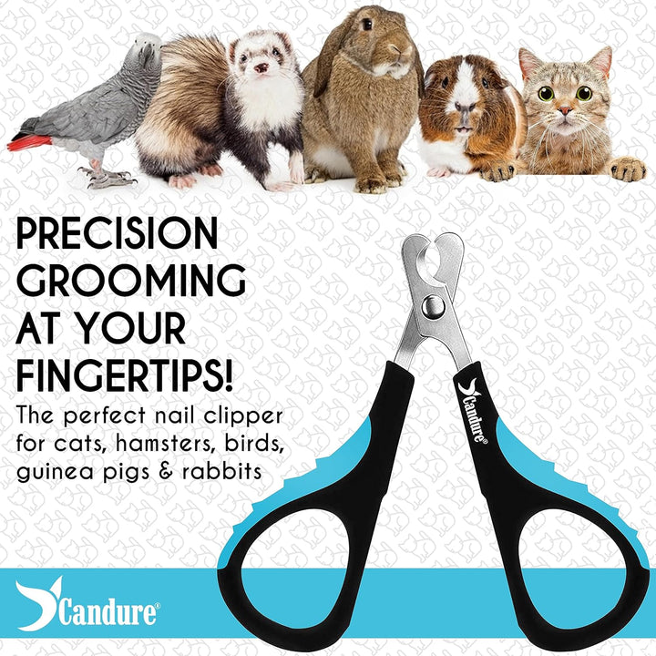 Cat Nail Clipper Stainless Steel Cat Claw Trimmers for Rabbits, Guinea Pigs, Birds, Puppies, Kittens and Small Animals Pet Nail Clipper for Professional and Home Use (Blue)