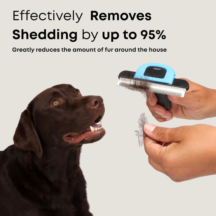 Deshedding Brush for Short Haired Dogs & Cats - Cat and Dog Brush for Shedding Short Hair - Highly Effective Deshedder Grooming Comb