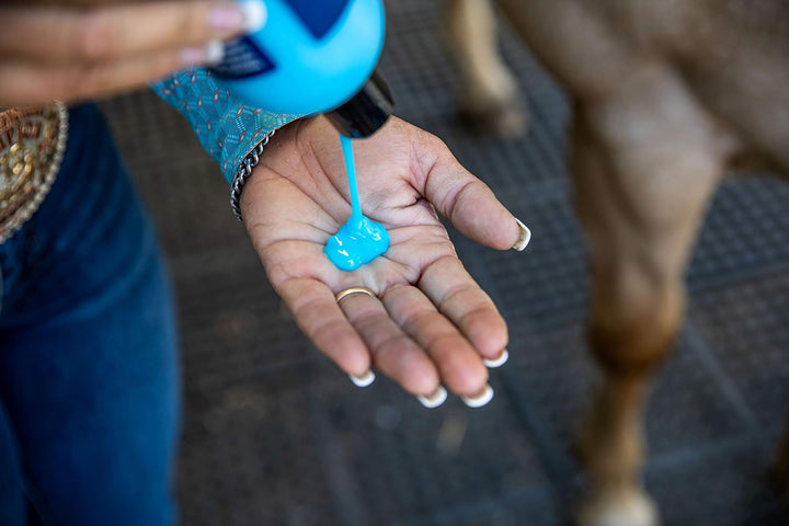 Mobility Equine Liniment for Fast-Acting Relief of Muscles and Joints – Menthol-Based Topical Analgesic for Horses – 16 Ounces