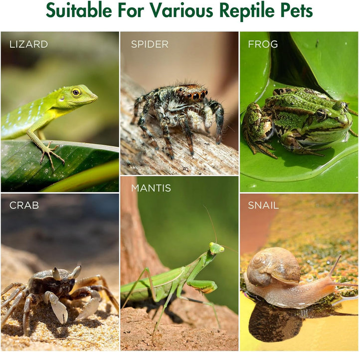 Jumping Spider Enclosure, Acrylic Terrarium with Magnetic Door & All-Side Ventilation, Pre-Assembled Reptiles Habitat for Praying Mantis, Tarantula, Snail, Hermit Crab, Frog (3.5"X3.5"X7")