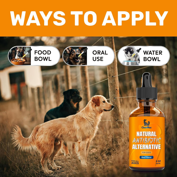 Natural Antibiotics for Dogs for Allergies, Infections, Coughs, Digestive Moments – Dog Antibiotics with Beef Flavor May Support Urination and Breathing – Organic Composition with Cranberry – 2 Oz
