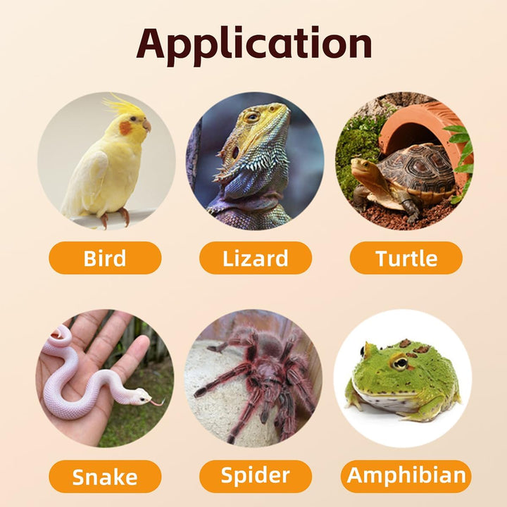 Bird Thermometer Hygrometer – Mini Digital Magnetic & Adhesive Pet Temperature and Humidity Sensor Gauge for Parrot Cages, Lizard Spider Snake Gecko Reptile Rearing Boxes