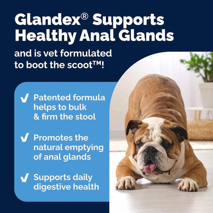 Glandex Anal Gland Soft Chew Treats with Pumpkin for Dogs Digestive Enzymes, Probiotics Fiber Supplement for Dogs Boot the Scoot (Peanut Butter Chews, 60 Count)