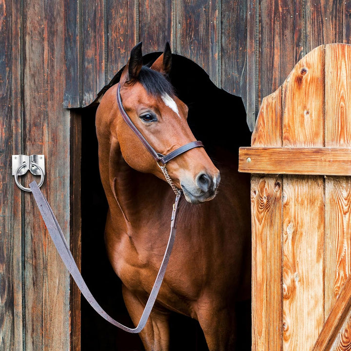 16 Pack Cross Tie Ring for Horse, Block Tie Ring with Screws, Wall Mount Horse Tie Ring, Stainless Steel Hitching Ring Tie down Hooks Horse Barn Supplies for Livestock Stable Stall Racetrack