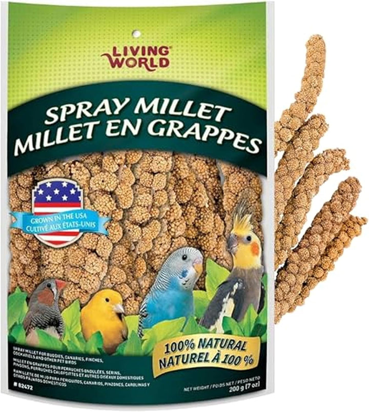 - Millet Spray for Birds, 3.5 Oz – Premium Treat for Budgies, Canaries, Finches, Cockatiels and Other Pet Birds