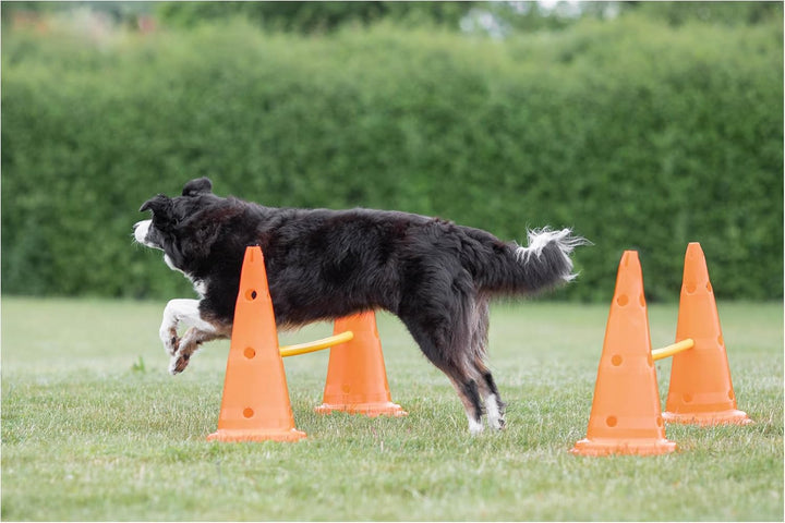 Dog Agility Hurdle Cone Set – Dog Agility Set with Height Adjustable Crossbar for Beginners & Advanced, Dog Agility Equipment for Dog Obstacle Courses – 6 X Cones, 3 X Agility Rods