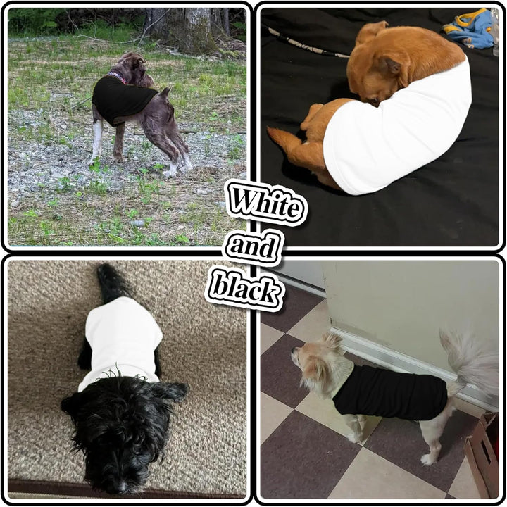 2 Pack Solid Color Dog Shirts - Lightweight, Quick Dry, Breathable Pet T-Shirts for Small to Large Dogs - Stretchy, Durable, Ideal for All Seasons and Holidays.Black White S