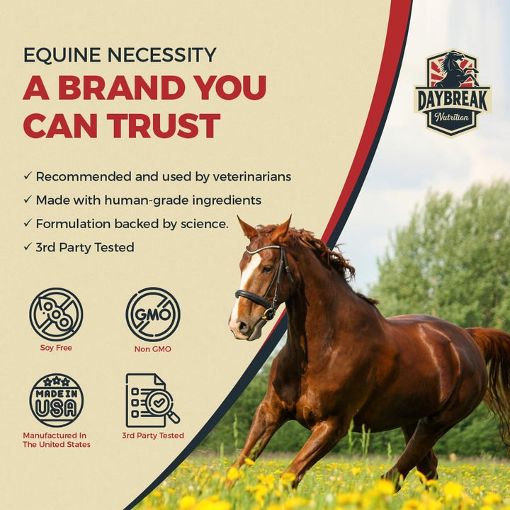 8 in 1 Maximum Strength Equine Joint Supplement - Joint Supplement for Horses - Glucosamine, MSM, Chondroitin, Turmeric, Hyaluronic Acid, Manganese, & Boswelia - 964G (30 Servings)