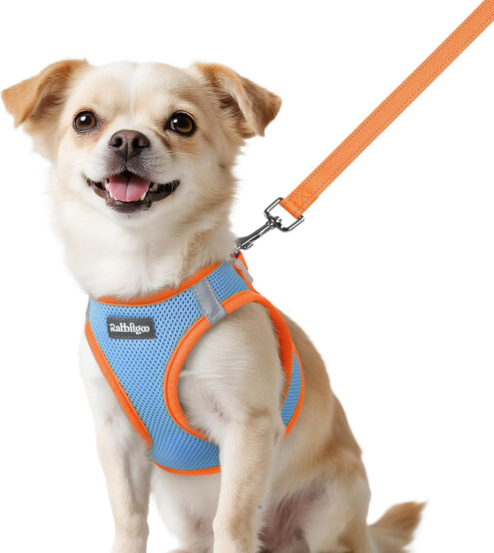 Dog Harness Small Sized and Leash Set, Step-In Breathable Pet Harness, Soft Walking Reflective Puppy Vest for Small Dogs, Black & Rose Red, S