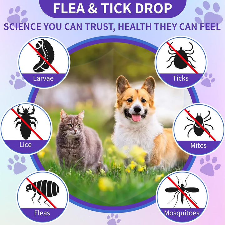 Flea and Tick Support for Dogs and Cats Natural Flea Treatment Drops with Multivitamin for Pets Oral Flea & Tick Prevention for Dogs and Cats Flea Herbal Drops for All Breeds and Ages